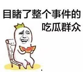 吃瓜群众511,一场全民参与的娱乐盛宴