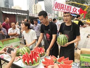 吃瓜群众活动,一场全民参与的娱乐盛宴