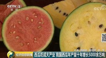 吃瓜群众大漂亮记者是谁,揭秘“吃瓜群众大漂亮”记者身份之谜