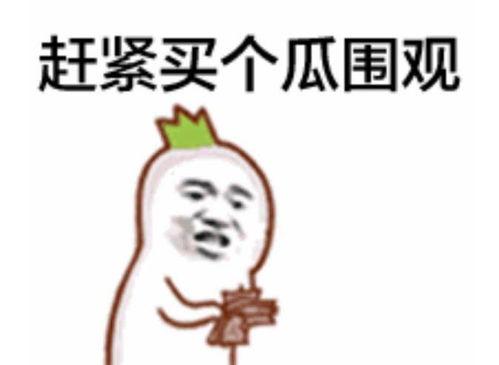 丁姐吃瓜群众是真的吗,揭秘网络舆论背后的真相