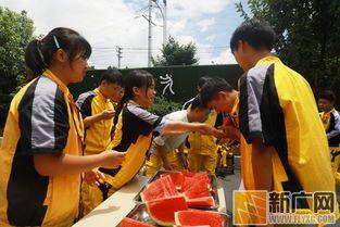 贵州山歌吃瓜群众,贵州山歌里的“吃瓜群众”风情