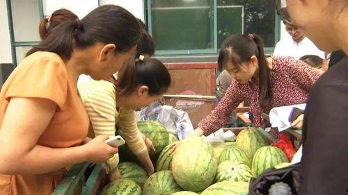 村里人吃瓜群众,揭秘乡村生活百态