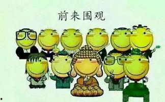 每天一句话吃瓜群众,吃瓜群众见证娱乐圈风云变幻