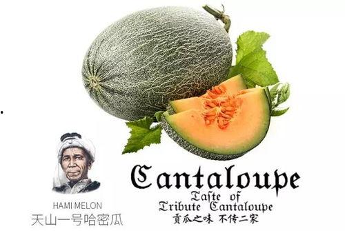 吃瓜群众小白丁,揭秘娱乐圈幕后故事