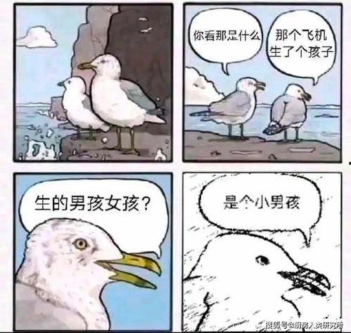 吃瓜群众闲唠嗑什么意思,揭秘网络热议背后的生活百态