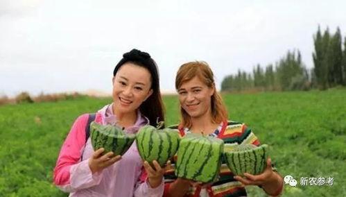 打败全球吃瓜群众的人叫什么,揭秘全球吃瓜群众的终极对决赢家