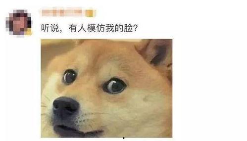 微信吃瓜群众专用表情包,趣味横生的网络文化现象