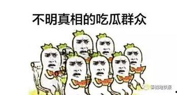 吃瓜群众在干什么事情呢,揭秘吃瓜群众的热闹日常