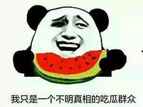 吃瓜群众看世界事,吃瓜群众视角下的世界风云变幻