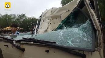 挖掘机吃瓜群众,瓜田里的“吃瓜群众”