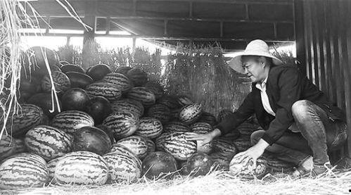 山阳吃瓜群众事件视频最新