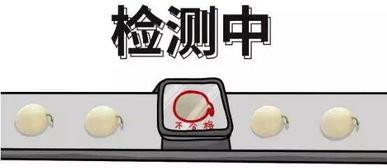 吃瓜群众的案例