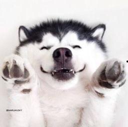 群众微笑吃瓜视频,共享快乐时光