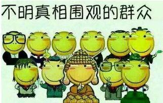 吃瓜群众被打死,吃瓜群众被打致死事件引发社会关注