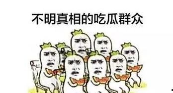 吃瓜群众中的路人是谁啊,他们是谁？