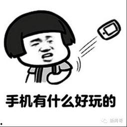 吃瓜群众看上的东西,潮流风向标大揭秘