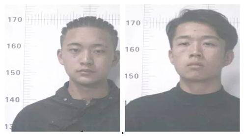 进吃瓜群众群聊,揭秘网络热议背后的故事与真相