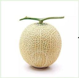 巴比亚吃瓜群众是谁,网络热议背后的真实故事