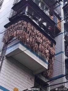 大户人家吃瓜群众,大户人家与吃瓜群众的趣味互动