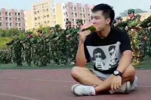 甜蜜诱惑吃瓜群众视频,揭秘吃瓜群众的疯狂追剧热潮