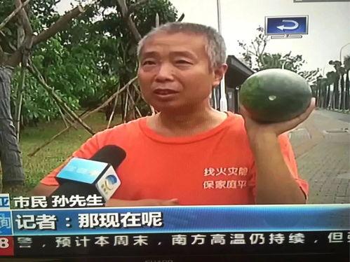 上饶吃瓜群众事件最新情况,真相大白，网络暴力与谣言的反思