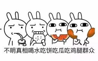 吃瓜群众的类似名字,网络时代的围观力量