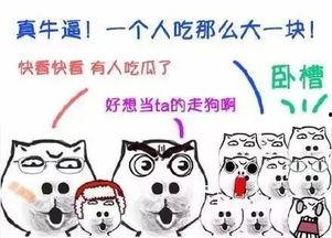 吃瓜群众斗图图文素材,趣味横生的网络文化现象