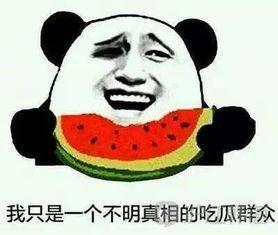 吃瓜群众韩语,吃瓜群众视角下的韩流风云