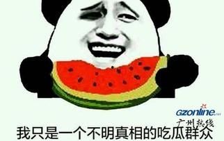 吃瓜群众群是什么意思,网络社交新现象背后的文化解读