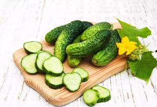 我只是个吃瓜群众玉竹,吃瓜群众视角下的玉竹传奇