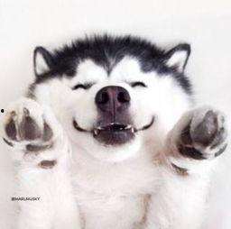 原版吃瓜群众视频大全下载