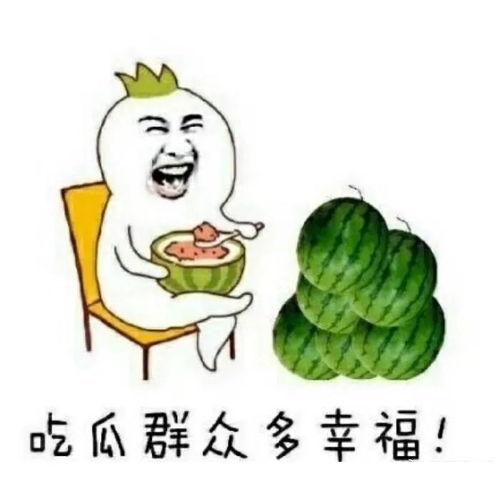 吃瓜群众小猪,吃瓜群众小猪的趣味生活点滴