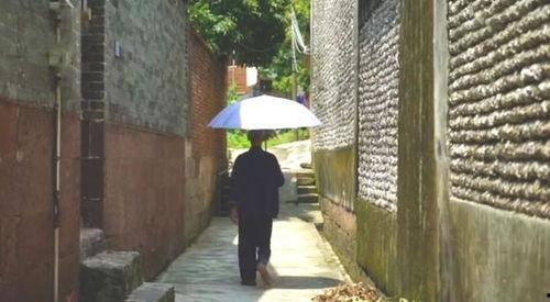 梨花巷吃瓜群众事件视频,一场网络围观下的社会现象解析