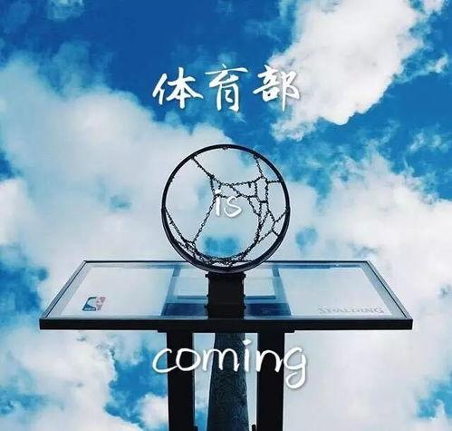 吃瓜群众上线新一年,揭秘娱乐圈新鲜事