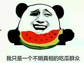 如何评论吃瓜群众,网络时代的围观与评论现象解析