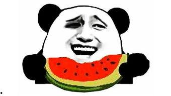 吃瓜群众经典幽默句子图片,图说人间百态